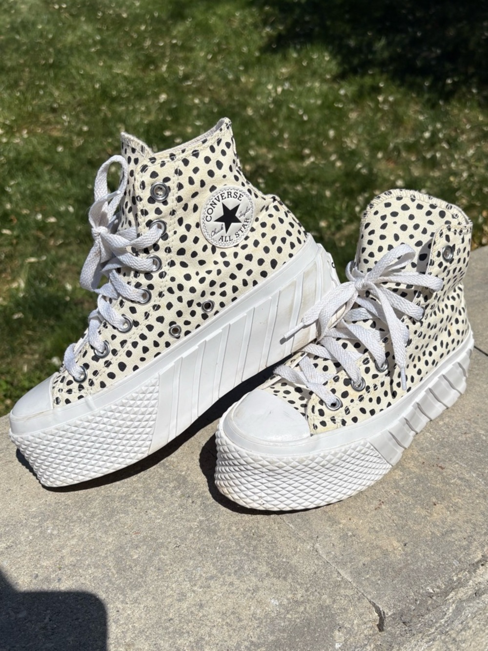 Converse Chuck Taylor All Star 2X Platform Hi "Welcome to the Wild"